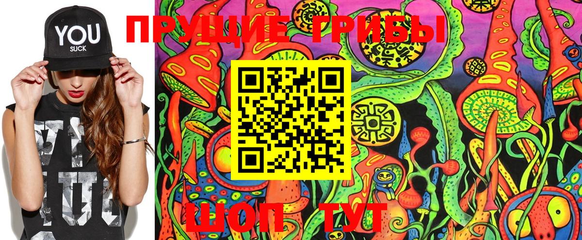Псилоцибиновые грибы GOLDEN TEACHER Зеленогорск
